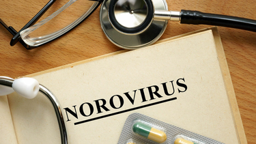 El norovirus es un virus altamente contagioso que causa gastroenteritis aguda, con vómitos, diarrea, náuseas y dolor abdominal. El norovirus es un virus altamente contagioso que causa gastroenteritis aguda, con vómitos, diarrea, náuseas y dolor abdominal.