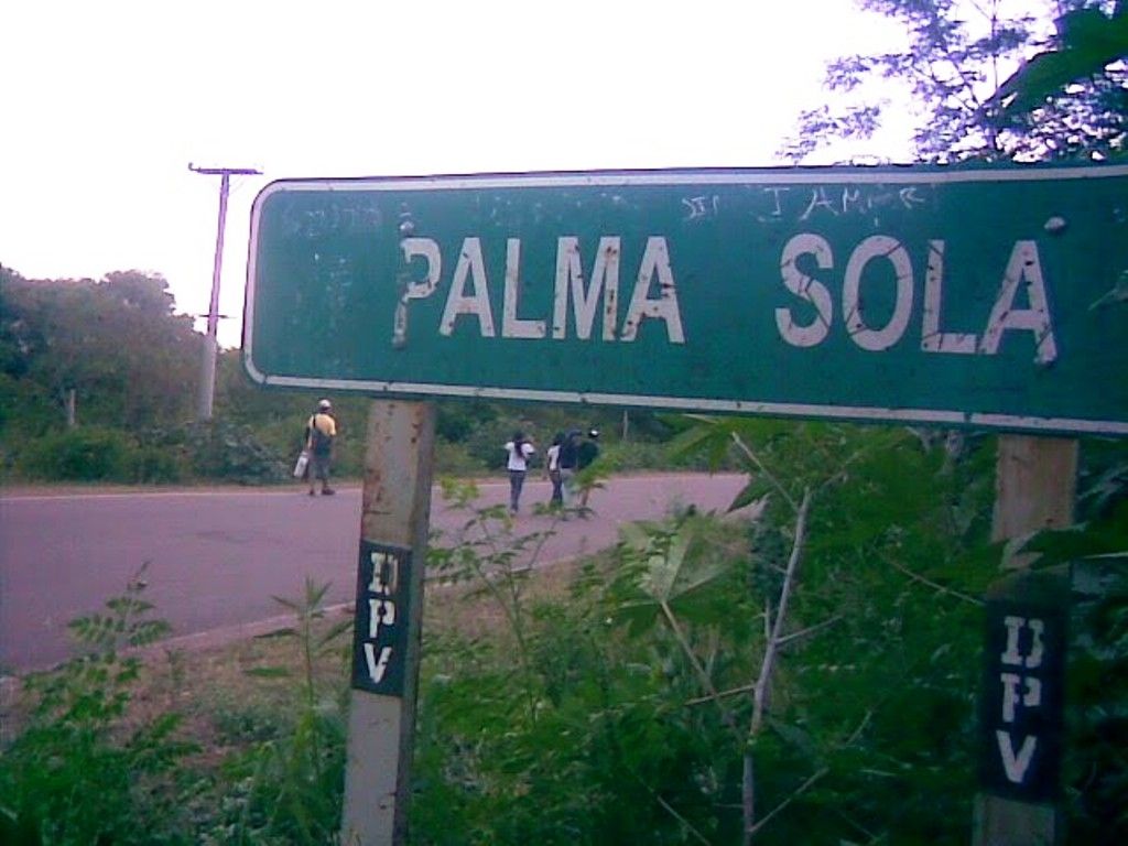 Palma Sola