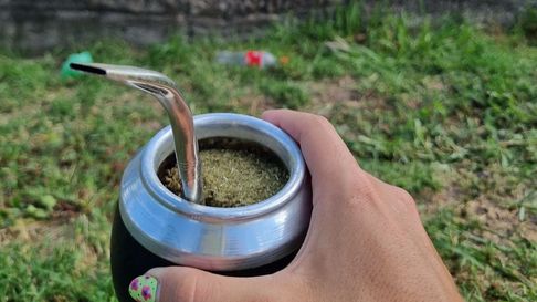 Todo Jujuy | yerba mate.jpg