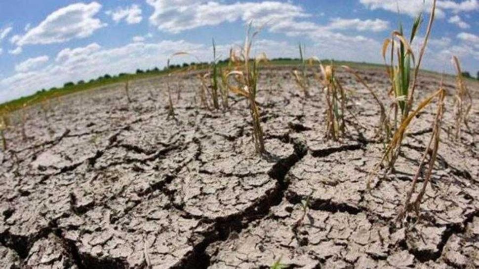 La ONU revela un aumento del 29% en cantidad de sequías