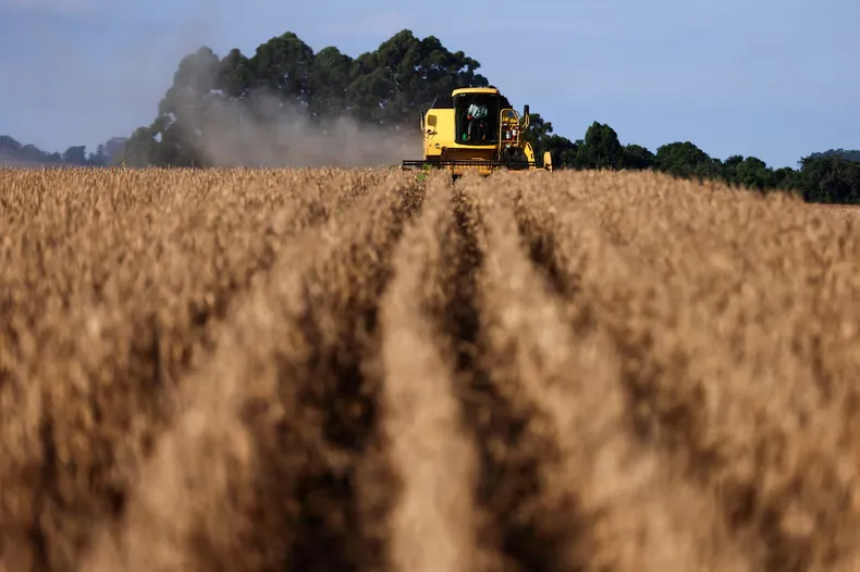 Soja 2025/26: la producci&oacute;n alcanz&oacute; 50,1 millones de toneladas