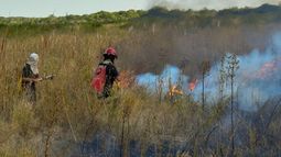 Esteros del Iberá: se reduce el incendio y se prevé una extinción.&nbsp;