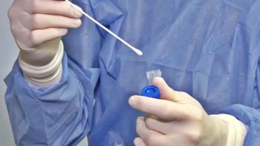 Testeos y vacunación Covid-19