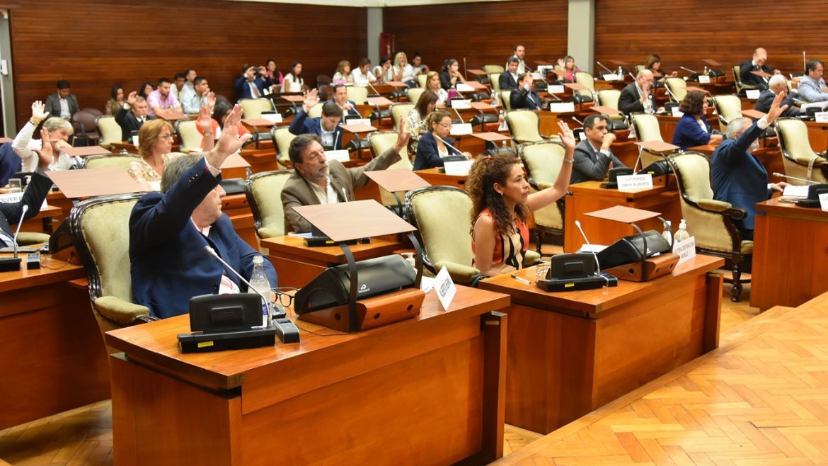 Los diputados tuvieron la primera Sesión Extraordinaria del 2023