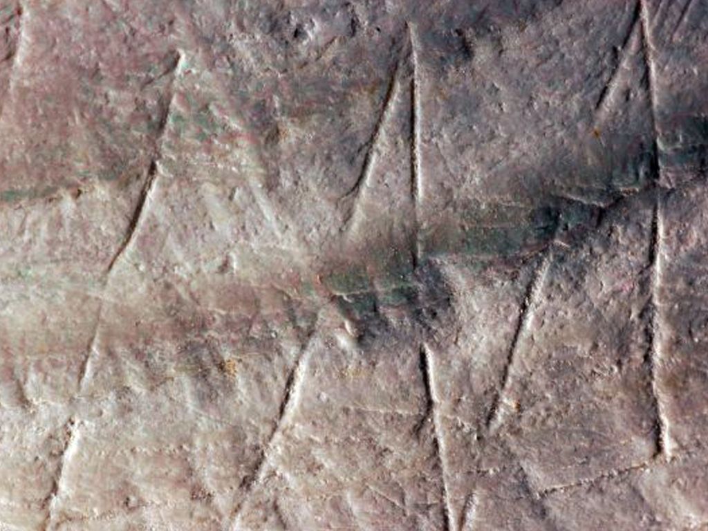 hashtag neandertal