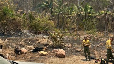 Incendios Forestales: preocupación, heridos y pérdidas en Salta y Jujuy