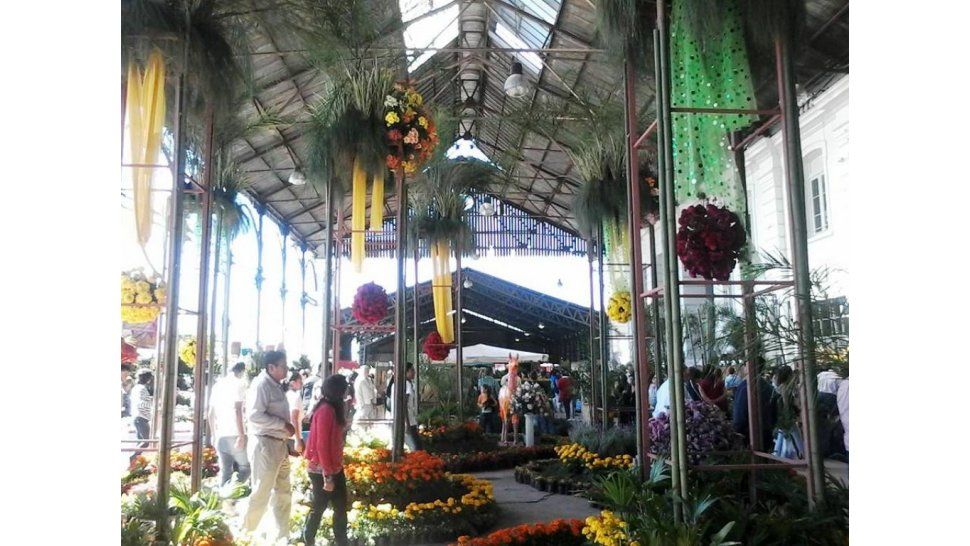 "La flor más bella"