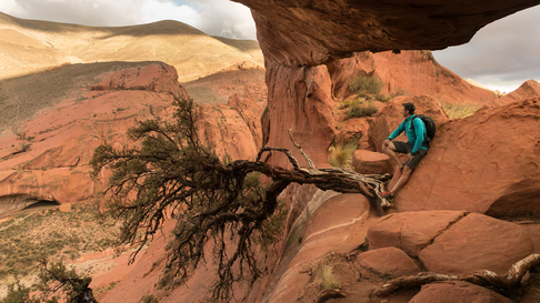 Todo Jujuy | Inca Cueva, Jujuy.