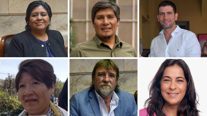 Los senadores y diputados por Jujuy