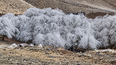 Nieve en Tafí del Valle - Tucumán (Foto: La Gaceta)