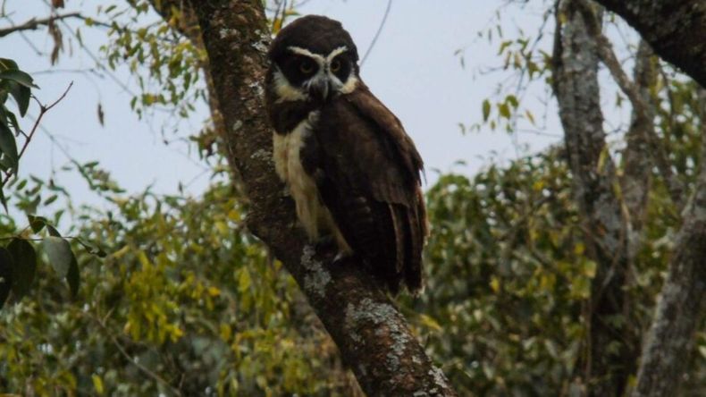 Para visitar el área protegida del Parque Botánico hay que pedir turno por WhatsApp al 3884037073. Recomiendan consultar el acceso por posibles cambios por lluvia.