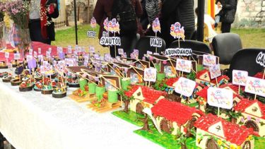 Se realizó la tradicional Feria de Santa Anita en Alto Comedero