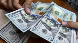 Cotización del dólar.