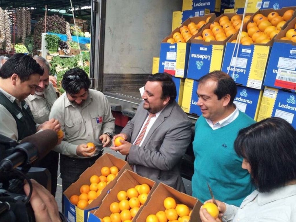 Naranjas jujeñas a Chile