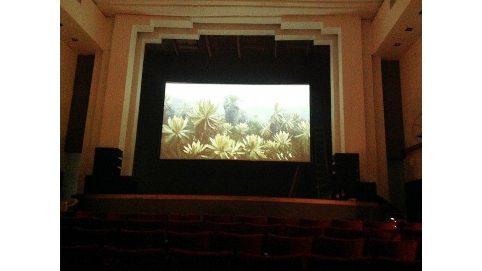 Nuevo cine