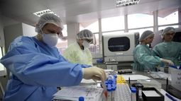 Esta variante consiste en una subvariante de las llamadas de segunda generación de Omicron&nbsp;y poseesecuencias limitadas que admiten ser analizadas.
