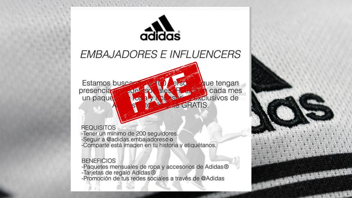 Adidas Embajadores: La nueva que se viral en Instagram