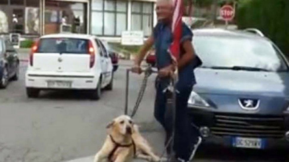 Ternura total: un hombre pasea a su perro en un carro porque no puede caminar