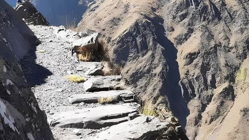 Todo Jujuy | Rescate en Jujuy (1)