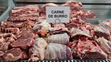 Carnede burro
