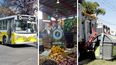 Transporte, recolección de residuos y otros servicios para lunes y martes de carnaval 2025