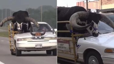 El hecho ocurrió en Nebraska, Estados Unidos.