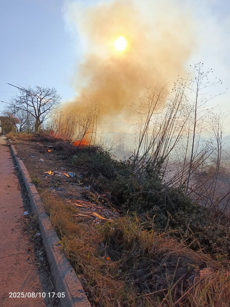 Losincendios forestales se repitieron durante el fin de semana en la zona del ParqueBelgrano