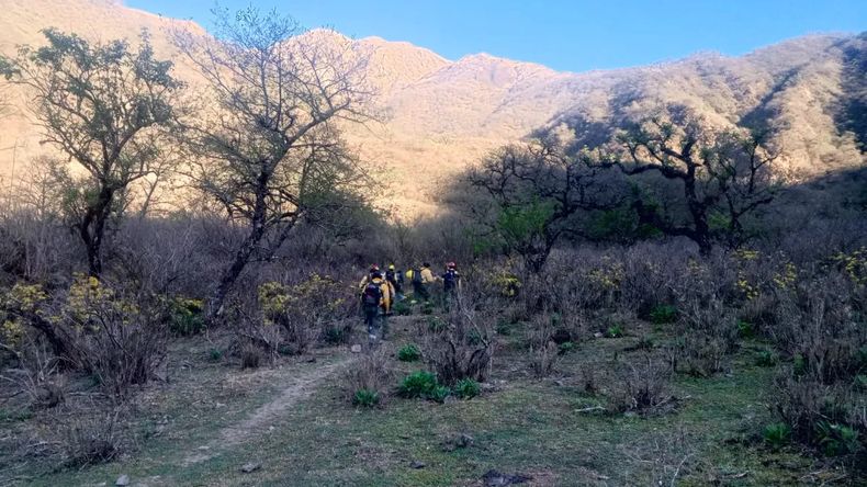 Lograron controlar el incendio forestal en Cerro Azul 