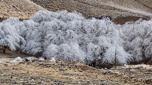 Todo Jujuy | Nieve en Tafí del Valle - Tucumán