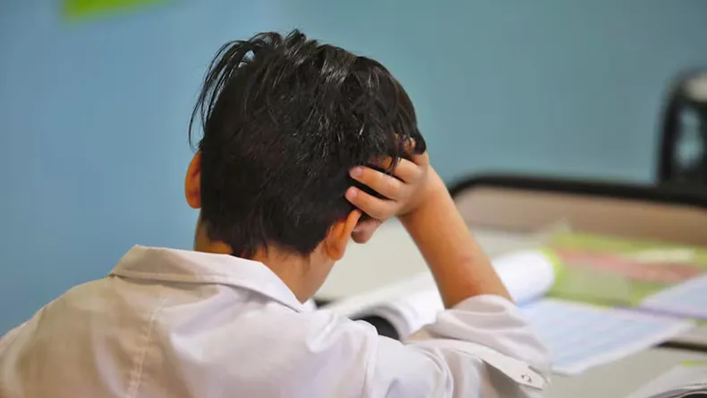 La inversión en educación cayó en 19 provincias durante la ultima década La inversión en educación cayó en 19 provincias durante la ultima década