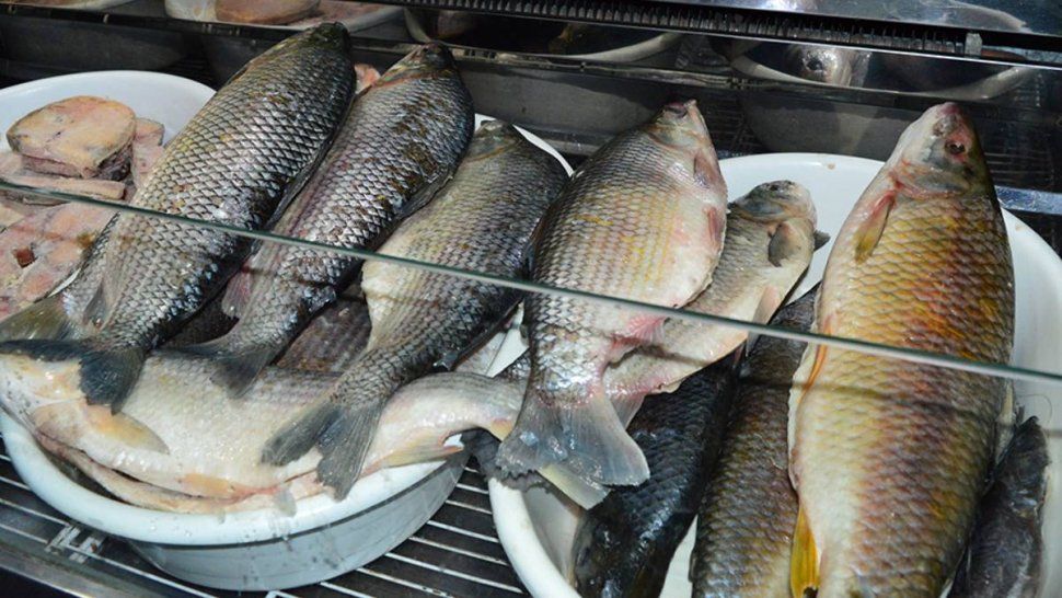 Sábalo y merluza, los pescados elegidos por los jujeños