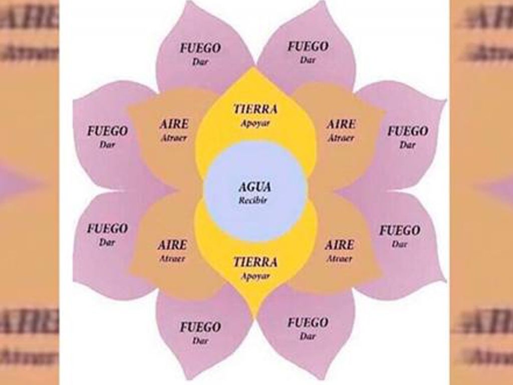 La Flor de la Abundancia, la estafa que se viralizó La Flor de la Abundancia, la estafa que se viralizó