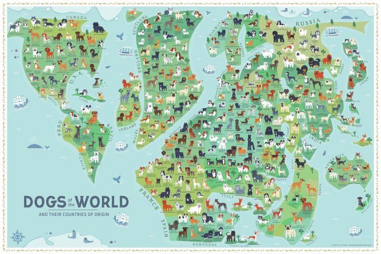 5c373ca4d40c6_perros_del_mundo_en_twitter.jpg