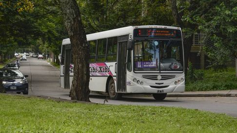 Todo Jujuy | colectivos san salvador (1).jpg
