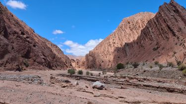 Este rincón de La Rioja es perfecto para los fanáticos de la naturaleza. Este rincón de La Rioja es perfecto para los fanáticos de la naturaleza.