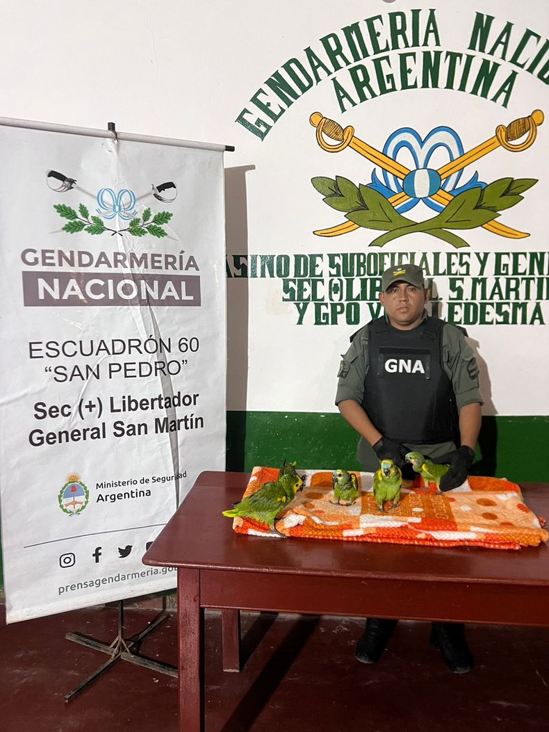 Animales rescatados.