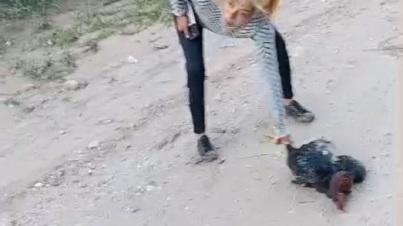 En Santiago del Estero denuncian a dos mujeres por torturar y matar animales