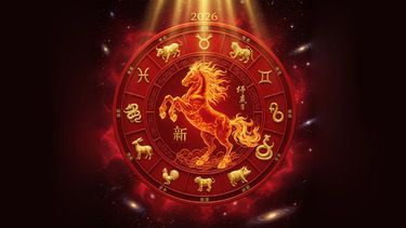 Así será el año del Caballo de Fuego según tu signo. Así será el año del Caballo de Fuego según tu signo.