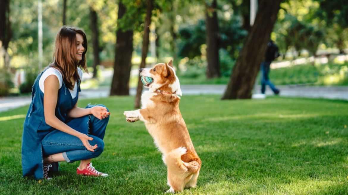 Ni jaulas ni cadenas: el auge de la tenencia responsable de mascotas