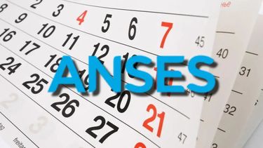Calendario de Anses para agosto