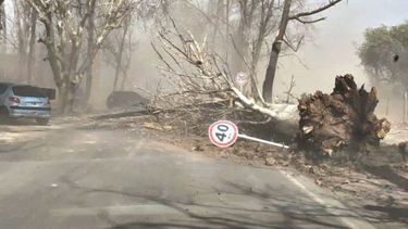Viento Zonda en Mendoza.