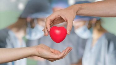 En Argentina, para ser donante de médula ósea hay que donar sangre e inscribirse en el Registro Nacional de Donantes Voluntarios de CPH.