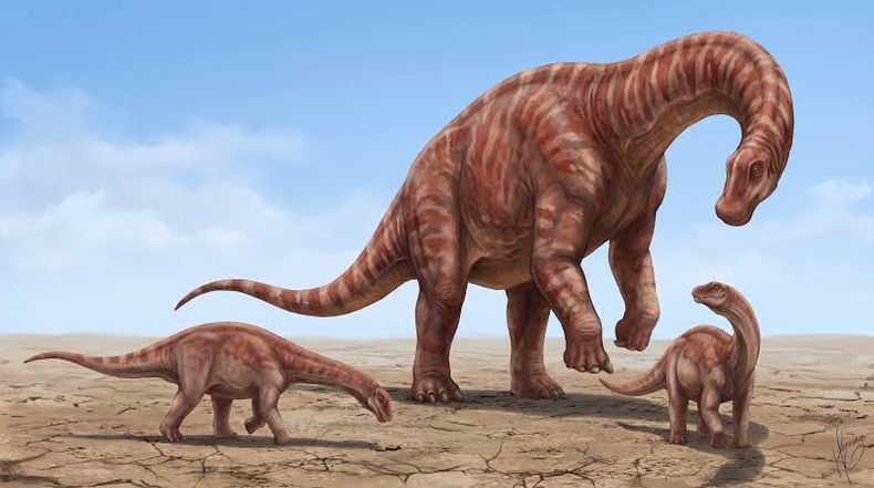 Hallazgo histórico en Uruguay: encuentran un dinosaurio de 83 millones de años.&nbsp;