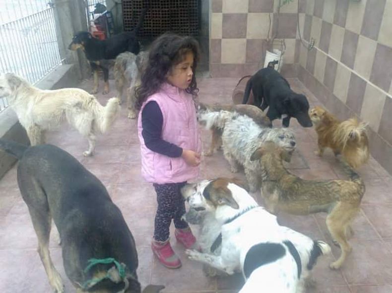 De pequeña junto a sus amigos de cuatro patas.