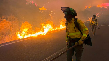 Incendio en España: Los equipos de extinción trabajan en condiciones extremas para frenar el fuego cerca de Los Gallardos que ya ha dejado al menos seis muertos (E112Andalucia)