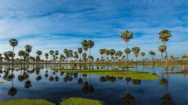 El destino de Formosa que deslumbra con uno de los humedales más grandes de Sudamérica. El destino de Formosa que deslumbra con uno de los humedales más grandes de Sudamérica.