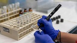 Investigación en salud&nbsp;