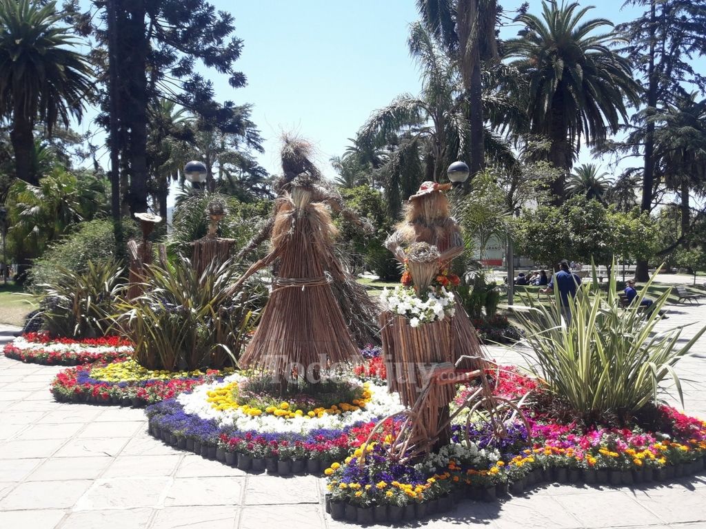 Conveflor en Jujuy