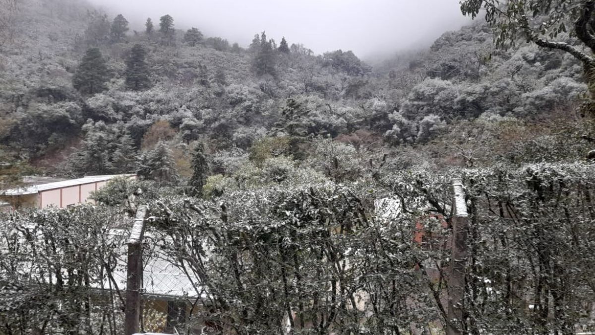 Jujuy volvió a vestirse de blanco: la nieve se hizo presente Jujuy volvió a vestirse de blanco: la nieve se hizo presente
