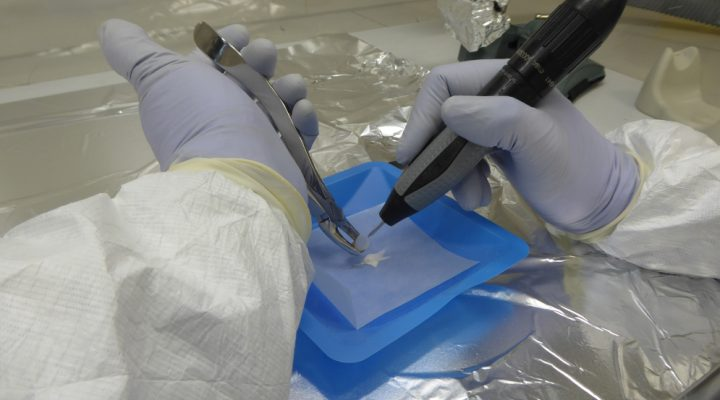 Trabajo en el laboratorio. Foto: gentileza IDACOR&nbsp;